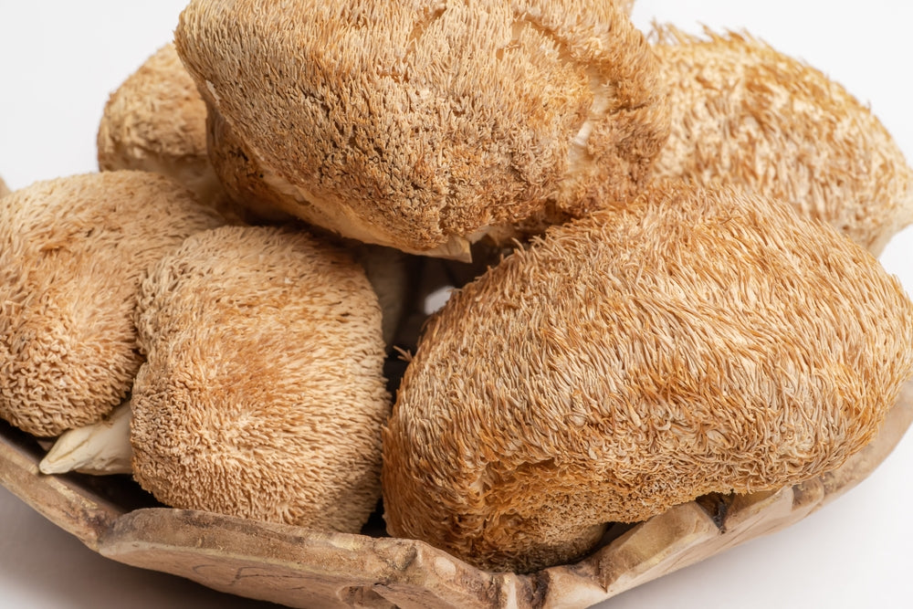 The Ultimate Guide To The Lion's Mane Mushroom And Its Incredible Benefits